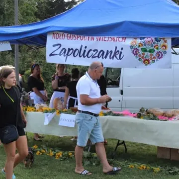Piknik Ekologiczny w Parku Solidarności w Radomsku