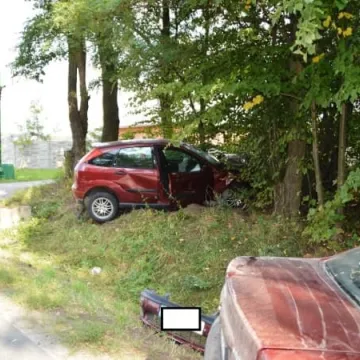 Wypadek w w Malutkich