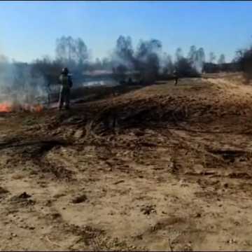 Pożar nieużytków w Klekowcu