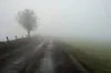 Gęste mgły nad regionem – policja z Radomska apeluje o ostrożność na drogach!