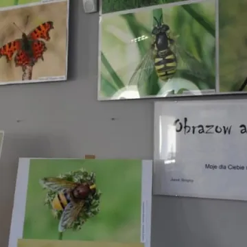 To jest rok Moniuszki