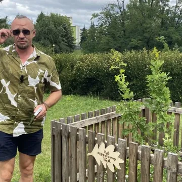 „Iga” – takie imię nosi od dziś dąb w Radomsku. To potomek dębu „Bartek”