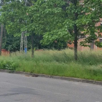 Mieszkańcy ul. Różanej skarżą się na niewykoszoną trawę