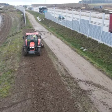 Łąka kwietna powstaje przy A1 niedaleko Radomska