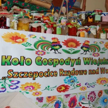 Piknik rodzinny w Szczepocicach