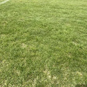 Na boiskach w Radomsku trwa pielęgnacja murawy