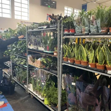 Rośliny opanowały Radomsko. Festiwal Roślin odbył się po raz pierwszy