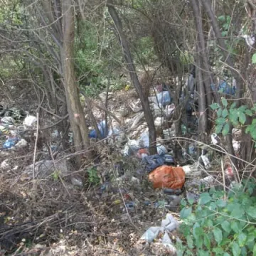 Miasto sprząta „Glinianki”