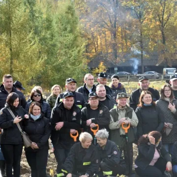 Wspólnie sadzili las