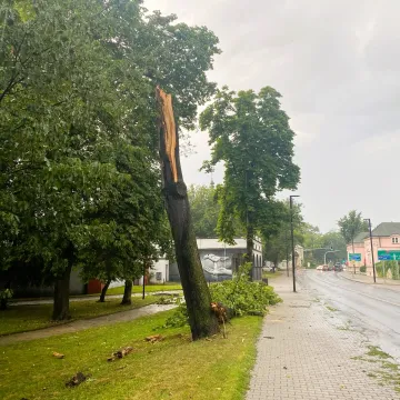 [WIDEO] Potężna nawałnica nad Radomskiem. Strażacy już w akcji