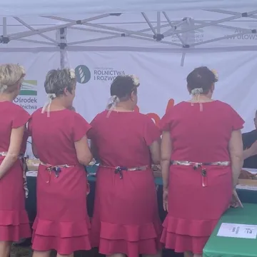 Kulinarna rywalizacja i integracja w Lgocie Wielkiej