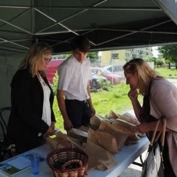 Przynieśli elektrośmieci – dostali sadzonki