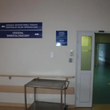 Dwa oddziały z wyższym stopniem referencyjności 