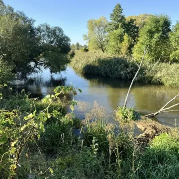 Wielkie sprzątanie w Przedborzu. Pilica odzyskała blask