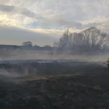 Duży pożar suchych traw w Pławnie