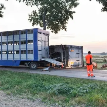 Śmiertelny wypadek na drodze za Przedborzem