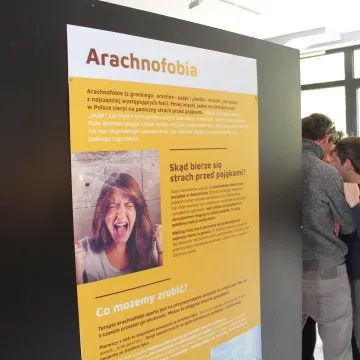 Pająki i skorpiony w MDK w Radomsku