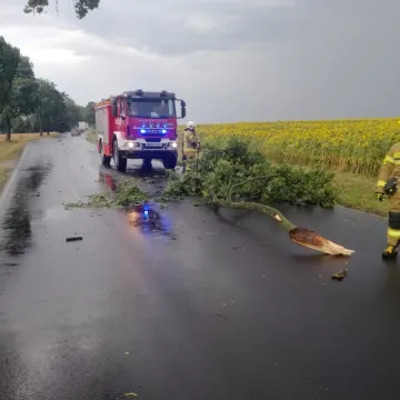 [WIDEO] Potężna nawałnica nad Radomskiem. Strażacy już w akcji