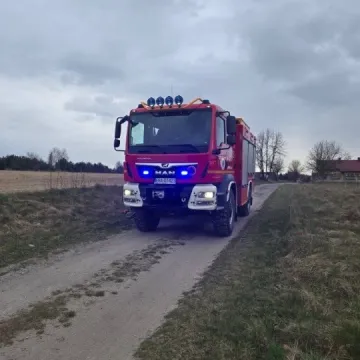 Drzewo zatarasowało drogę. Interweniowali strażacy z OSP Kamieńsk