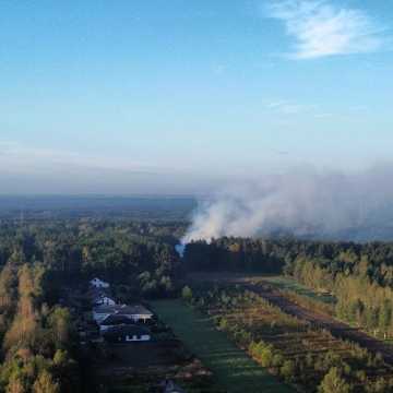 [WIDEO] Potężny pożar w Radomsku. Zakład stolarski w płomieniach