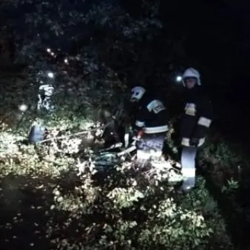 Wiatr łamał drzewa