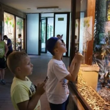 Muzeum Regionalne na wyciecze w Łodzi