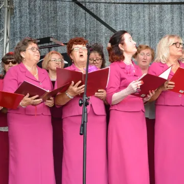 Bitwa Regionów w Strzałkowie