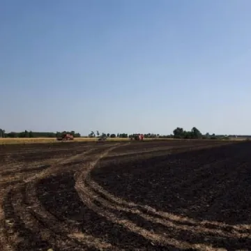 Ciężarówka spłonęła na polu