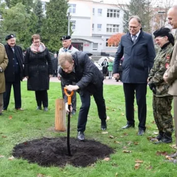 Dąb Pamięci dla „Warszyca”