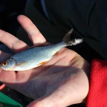 Wędkowali dla „Górala”