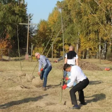 Sto drzew na stulecie