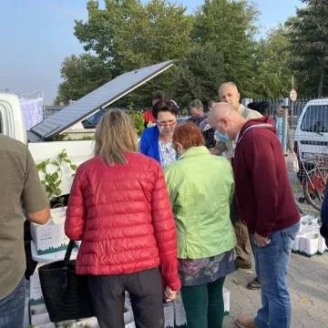 Poseł Anna Milczanowska rozdawała sadzonki z autografem pary prezydenckiej