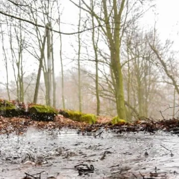 Plener fundacji FotoPozytyw