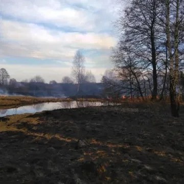 Duży pożar suchych traw w Pławnie