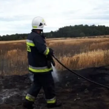 Pożar zboża między Przerębem a Bartodziejami