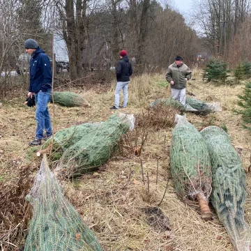 Nadleśnictwo Radomsko zaprasza na „choinkobranie”