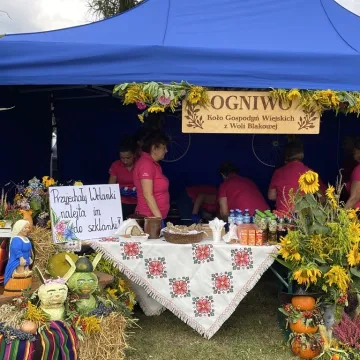 Święto Plonów w Krępie. Dożynki Gminno-Parafialne 2025