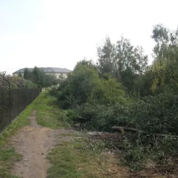 Miasto sprząta „Glinianki”