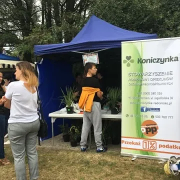 Jarmark Powiatowy 2018 w parku Solidarności