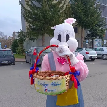 Zapachniało kolorową wiosną na parkingu przed Starostwem Powiatowym w Radomsku