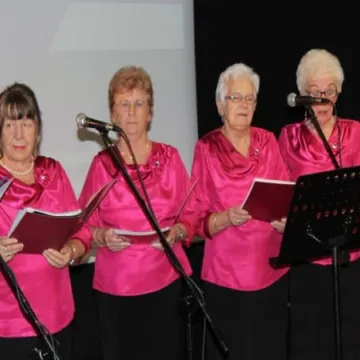 Wieczornica Węgierska w MDK