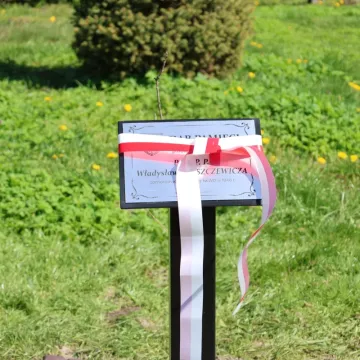 W ZSP nr 1 w Radomsku odsłonięto Dąb Pamięci