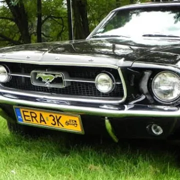 Jarmark Powiatowy 2018 w parku Solidarności