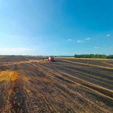 W Korytnie spłonęło 15 ha ścierniska