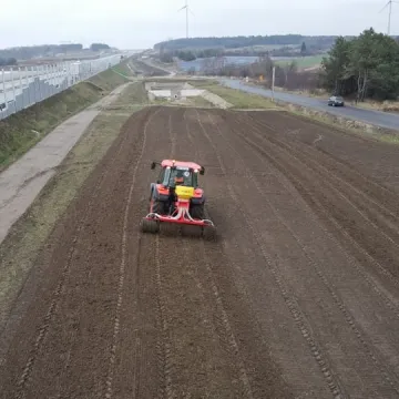Łąka kwietna powstaje przy A1 niedaleko Radomska