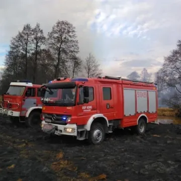 Duży pożar suchych traw w Pławnie