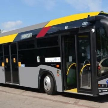 Mieszkańcy wybiorą kolorystykę autobusów