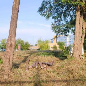 Rozpoczęła się budowa parku przy ul. Jagiellońskiej w Radomsku