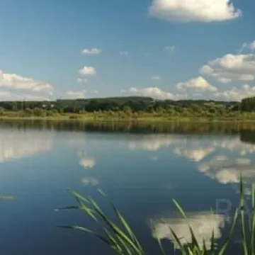 Dzień Ziemi w ZSDiOŚ