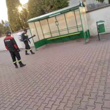 Odkażanie w gminie Wielgomłyny